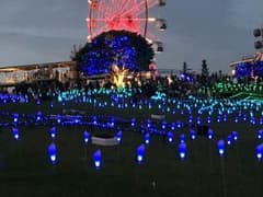 専用のサムネイル