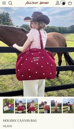 アリソンブラウンAllison Brown Holiday Canvas Bag - メルカリ