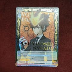 ヴァイスシュヴァルツ 沢田綱吉 SP