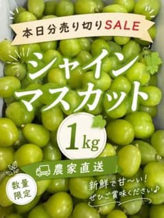 山梨 農家直売 シャインマスカット 1kgのサムネイル