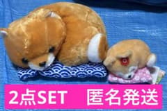 AMUFUN 좌포로 편안한 좌식 이불로 느긋하게 삼형제 콩 자바 2점 SET