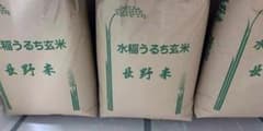 送料込み！！安曇野産コシヒカリ30kg 玄米 令和7年度のサムネイル