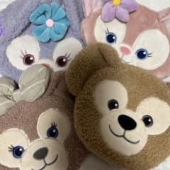 東京ディズニーシー 25周年 ワンダーズ・バイ・ユア・サイド ポーチ