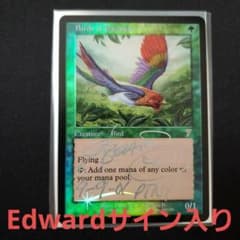 極楽鳥 MTG 7版 英語版 Foil Edward先生サイン入 - メルカリ