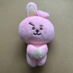 BTS BT21 파스텔 컬러 푹신푹신 인형 마그넷 COOKY