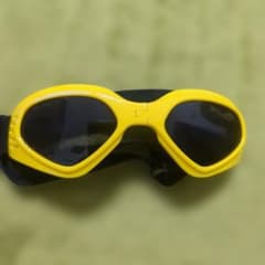 小型犬用サングラス UVカットのサムネイル