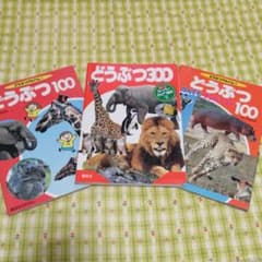 たぬき様専用　　どうぶつ100どうぶつ300どうぶつなんでもナンバーワン100のサムネイル