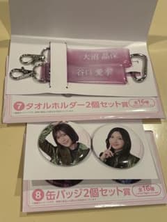 櫻坂46くじ 缶バッジ2個、キーホルダー2個セットのサムネイル