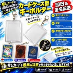 新品＊即日発送1個 カードケースキーホルダー 匿名配送