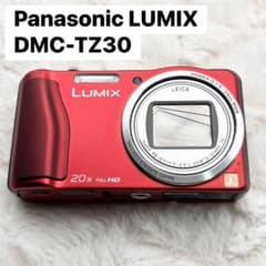 Panasonic LUMIX DMC-TZ30 レッド ジャンク - メルカリ