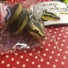 みや様専用のサムネイル