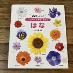 ひとりでよめるずかん　はなのサムネイル