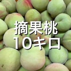 摘果桃 10キロ 硬い 若桃 カリカリ 加工用 - メルカリ