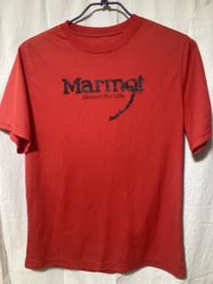 マーモット　Tシャツのサムネイル