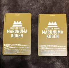 丸沼高原スキー場 リフト券 2枚セットのサムネイル