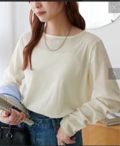 フロッキーメッシュロングスリーブ　アイボリー　新品未使用のサムネイル