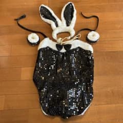 バニーガールのコスプレのサムネイル