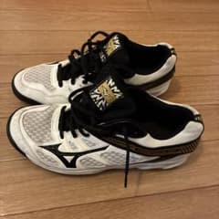 adidas、ジム、体育館(インドア)シューズ、26.5のサムネイル