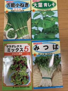 野菜の種　ネギ　大葉　サラダレタス　みつばのサムネイル