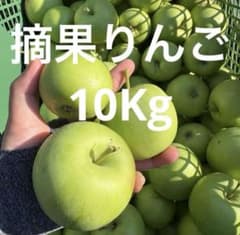 山形県産摘果りんご10キロ①品種シナノスィートのサムネイル