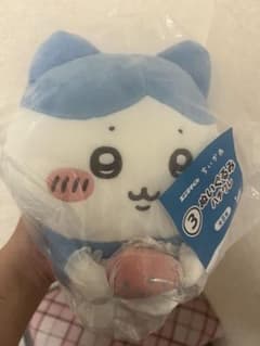 치이카와 꿀벌 봉제 인형 에니 타임 복권