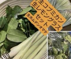 Fresh kaffir lime leaves (30g) + fresh lemongrass (200g) set.