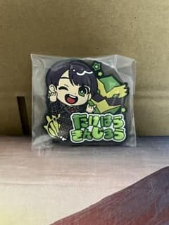 専用☆ナンバーワン戦隊ゴジュウジャー きゅるぽっぷん おなまえラバーバッジ 5種 ナンバーワン戦隊ゴジュウジャーきゅるぽっぷん おなまえラバーバッジ