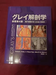 グレイ解剖学のサムネイル