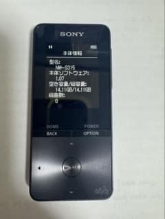 SONY Walkman NW-S315 16GB ブラック - メルカリ