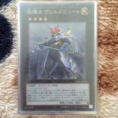 励騎士ヴェルズビュートのサムネイル