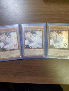 はるうらら　3枚セットのサムネイル