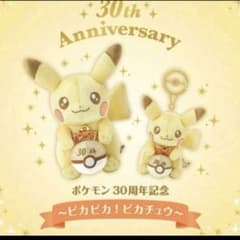新品✨ピカピカ！ピカチュウ 30周年記念 ぬいぐるみ＆マスコットのサムネイル