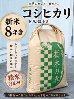 栃木県産こしひかり 送料込み - メルカリ