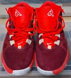 NIKE ZOOM FREAK1 ノーブルレッド 26㎝のサムネイル