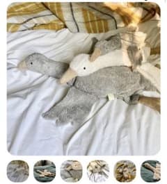 SENGER Naturwelt goose Lsize greyのサムネイル