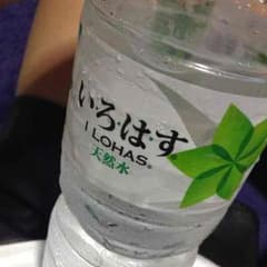 サルッチ様専用のサムネイル