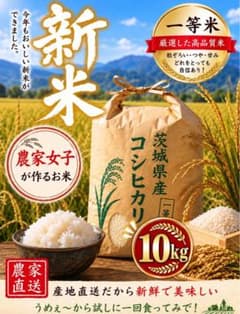 新米‼️農家直送‼️茨城県産 コシヒカリ 5キロ×2袋 - メルカリ