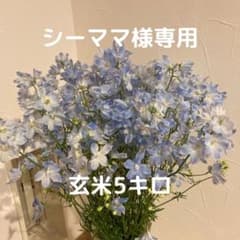 【シーママ様専用商品】のサムネイル