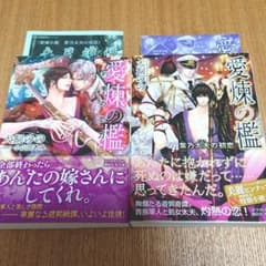 愛煉の檻 : 紫乃太夫の初恋 他1冊のサムネイル