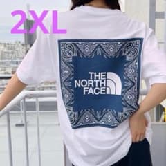 日本未発売】THE NORTH FACEペイズリーTシャツ ホワイト☆2XL - メルカリ