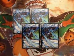 ヴォルグサンダー 4枚セットのサムネイル