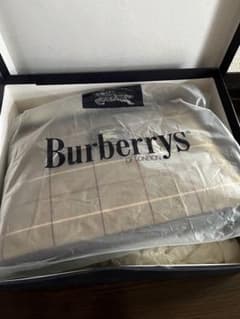 バーバリー　ポーチ　美品　BURBERRY 値下げのサムネイル
