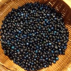 クサギの実　草木染め 合計1,160g 臭木の実/ 臭木/ クサギの実/ クサギ 草木染材料 - メルカリ