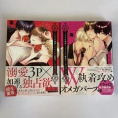 【こんなの運命じゃないから勘違いしないで】上下巻セットのサムネイル