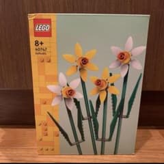 LEGO 레고 보타니컬 40747 래퍼스 이센 레고 블록