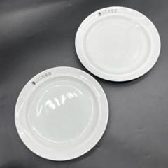 レア 非売品 CoCo壱番屋 分天窯 MIYAKE ココイチ カレー皿 2枚