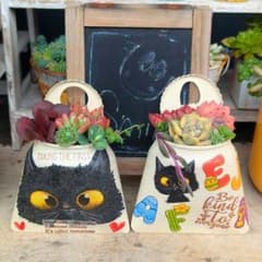 多肉植物❤黒猫リメ缶❤吊るし❤壁掛け❤デコパージュ❤2個セット❤のサムネイル