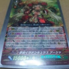 夢紡ぐラナンキュラスアーシャのサムネイル