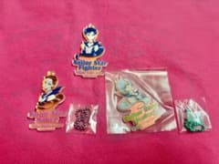 Pretty Guardian Sailor Moon Aurora Acrylic Keychain