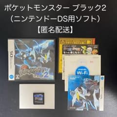 ポケットモンスター ブラック2（ニンテンドーDS用ソフト）説明書付き